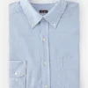 Outlet J. McLaughlin Collis Classic Fit Shirt In Stripe Blue/White