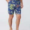 New J. McLaughlin Oliver 9" Shorts In Jardin Mariposa Navy/Multi